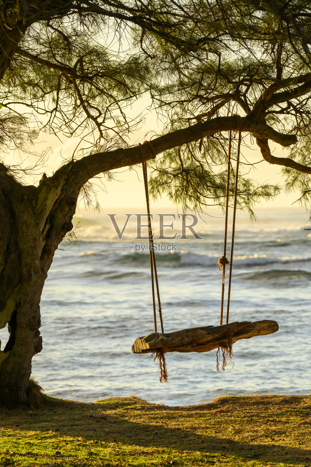 在沙滩上荡秋千照片摄影图片