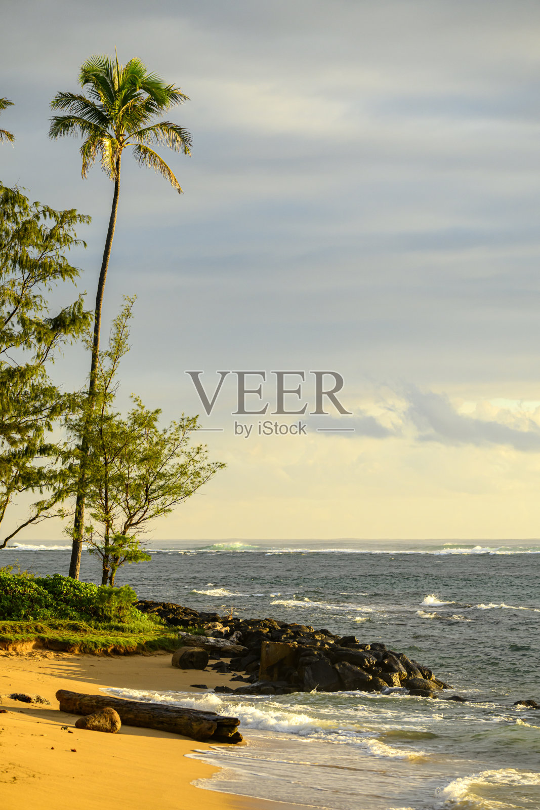 夏威夷早晨的小海滩照片摄影图片