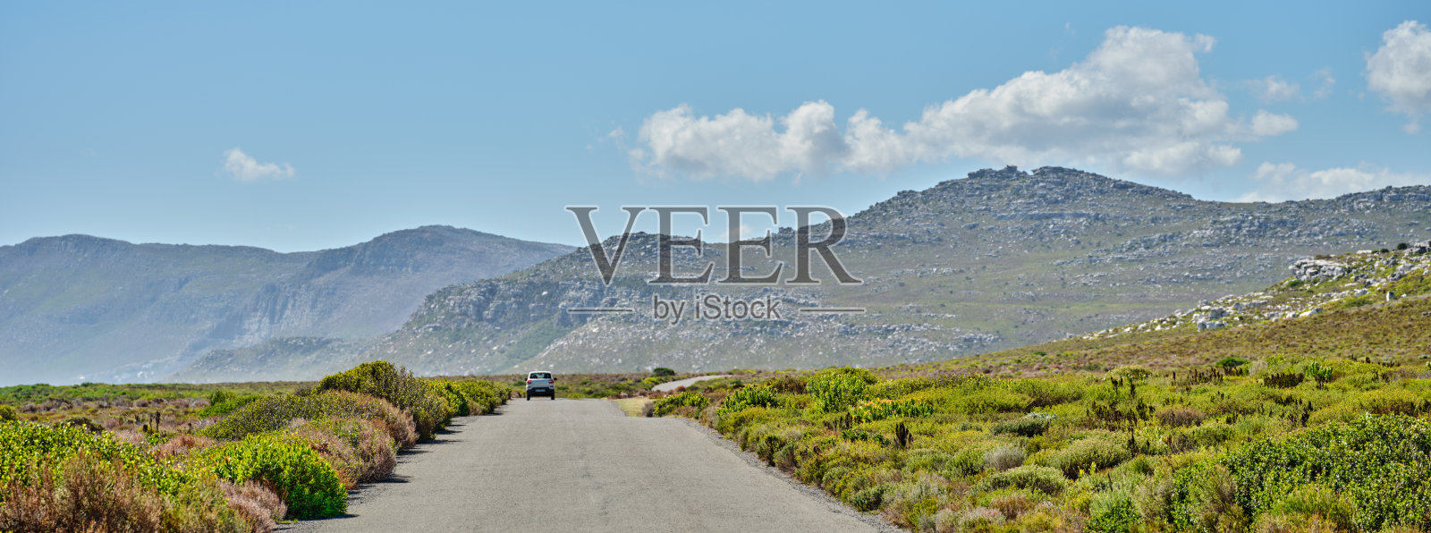 开普角国家公园的荒野照片摄影图片