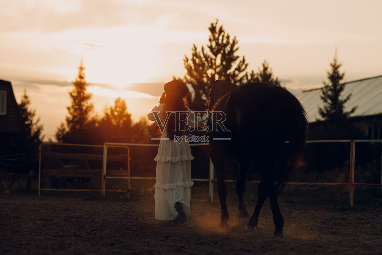 一名妇女和她的马在户外牧场照片摄影图片