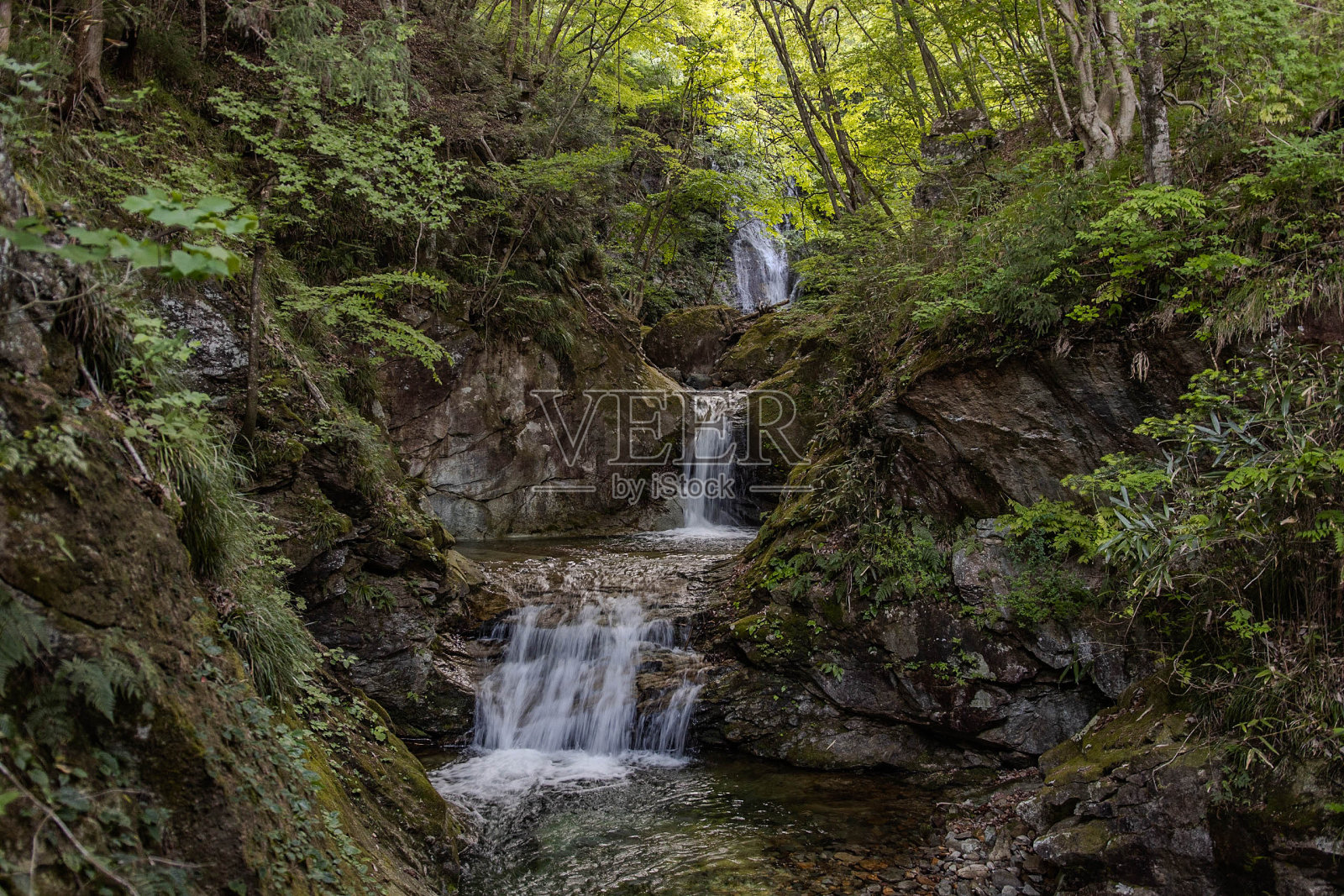 穿过森林的瀑布照片摄影图片