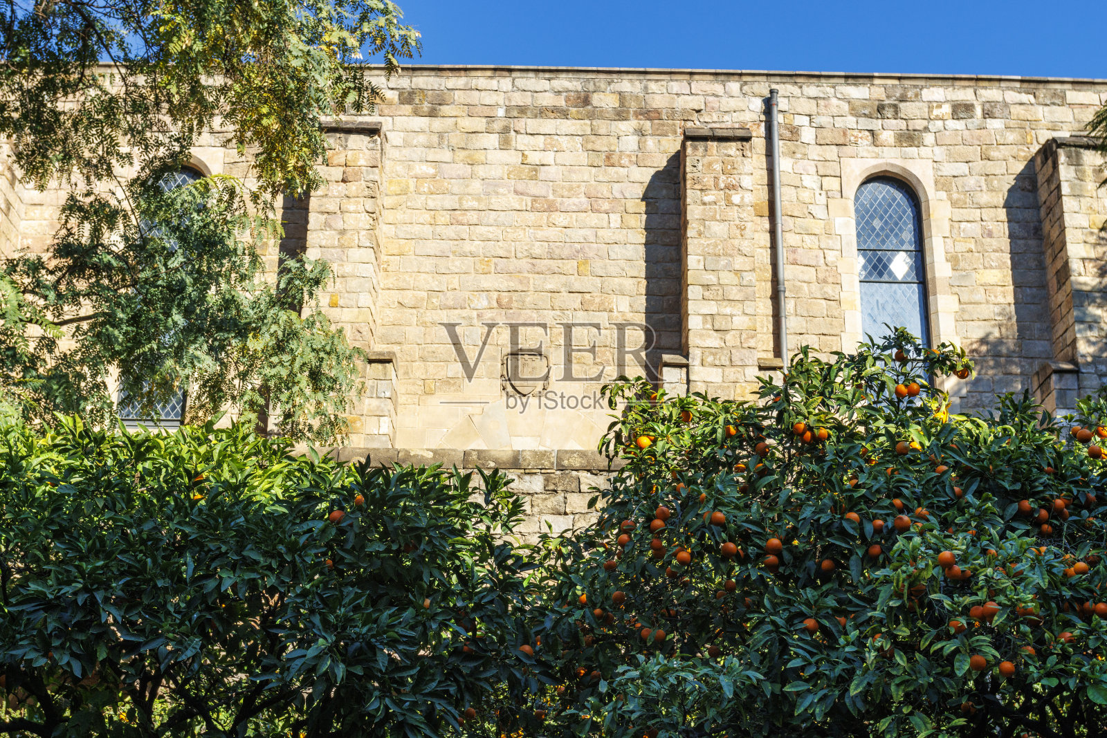 位于西班牙，欧洲，加泰罗尼亚，巴塞罗那，Barrio Gotico的前中世纪医院的外观照片摄影图片