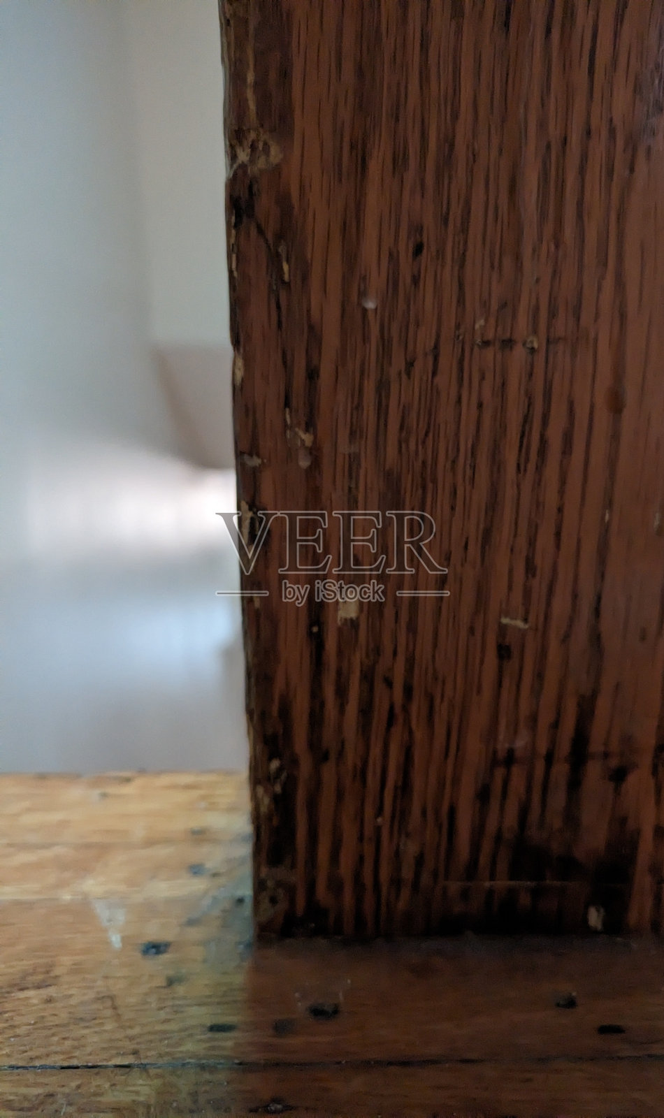 木支柱照片摄影图片