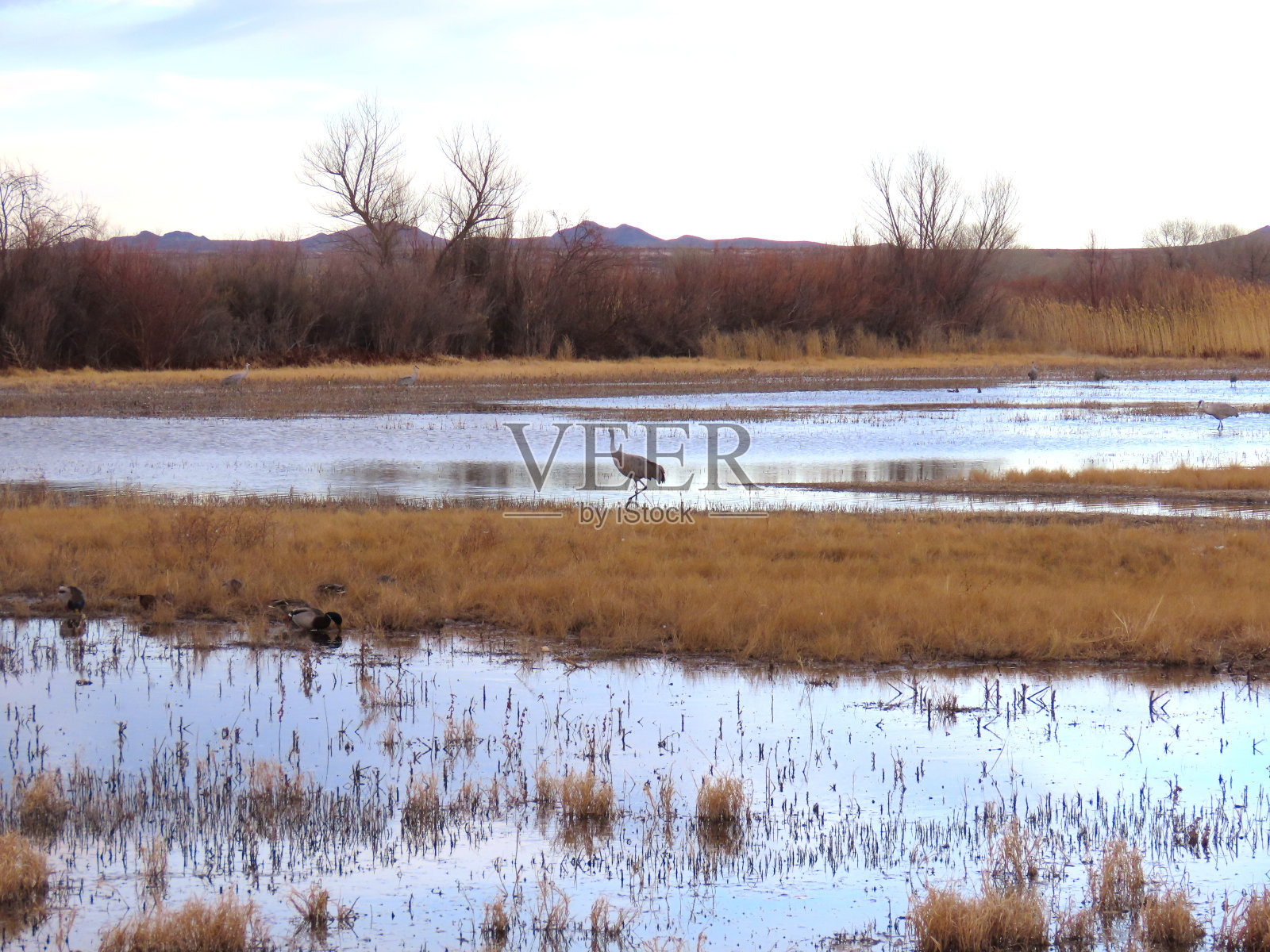 阿帕奇家族照片摄影图片