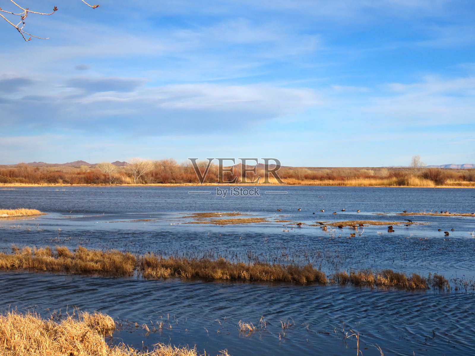 阿帕奇家族照片摄影图片