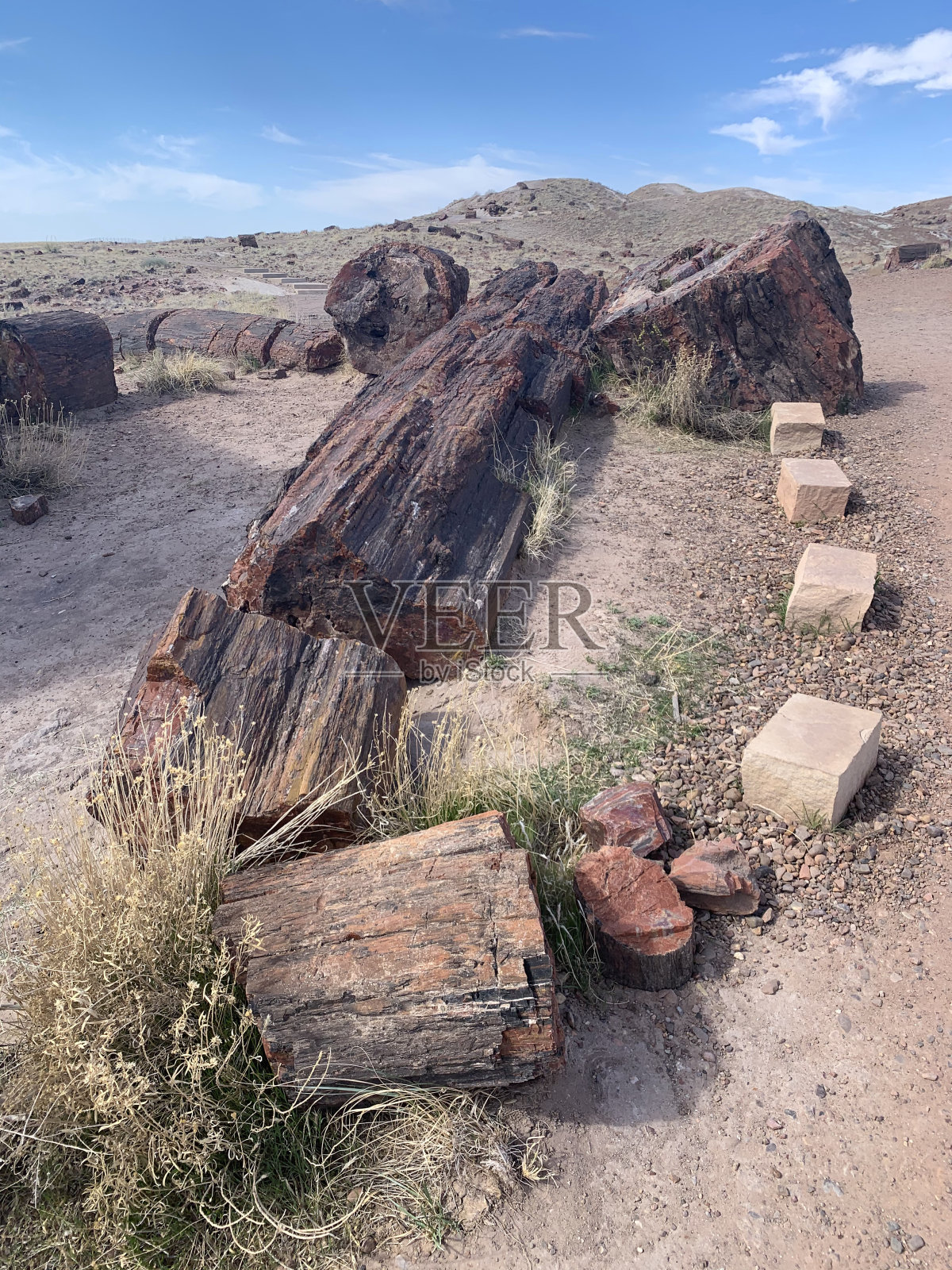 石化日志照片摄影图片