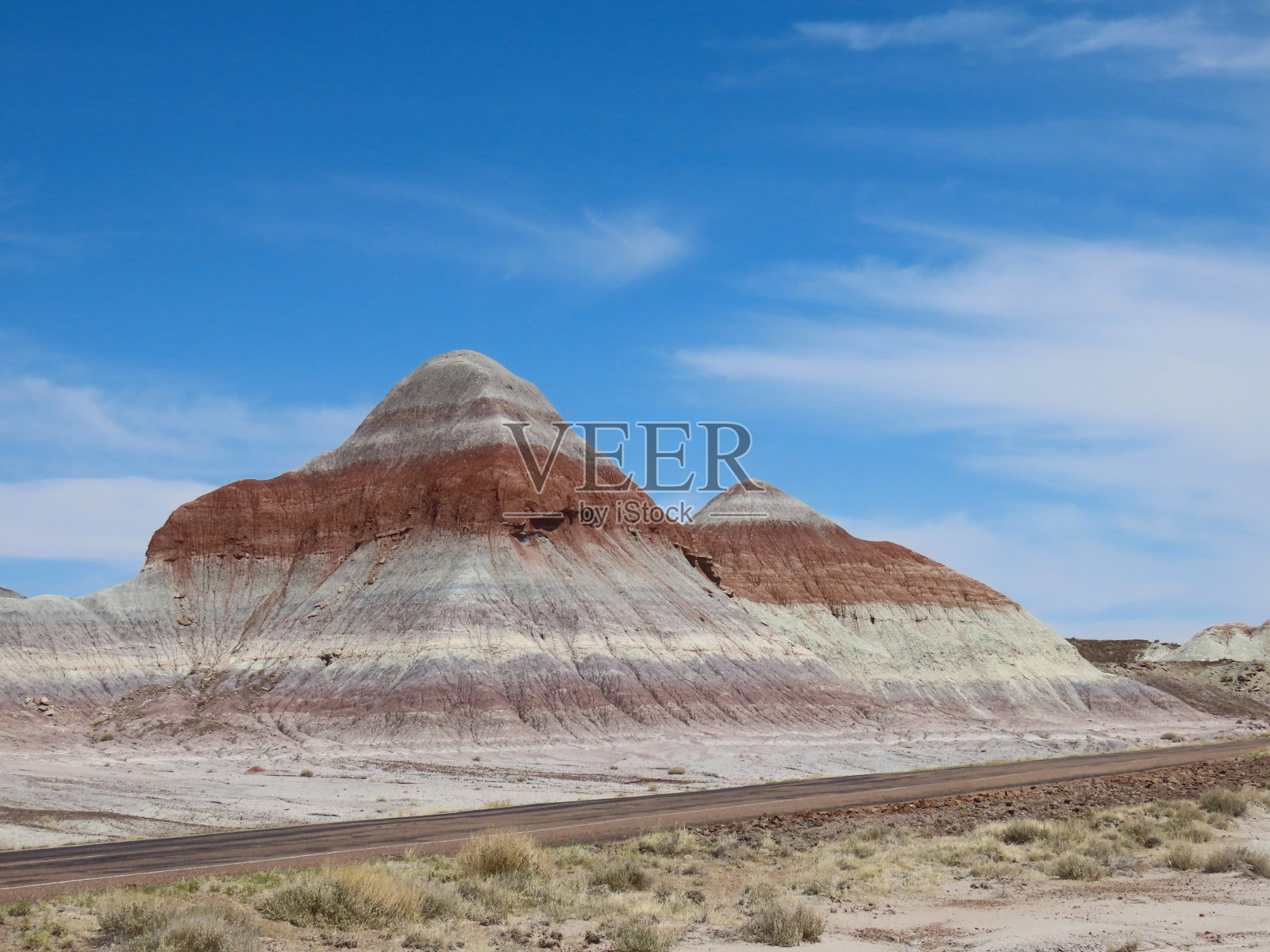 石化森林国家公园照片摄影图片