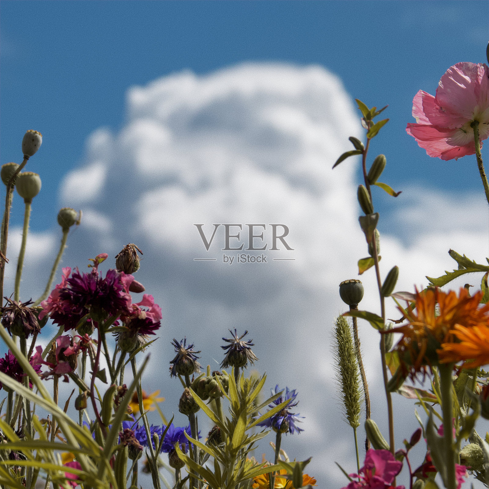 天地对比照片摄影图片