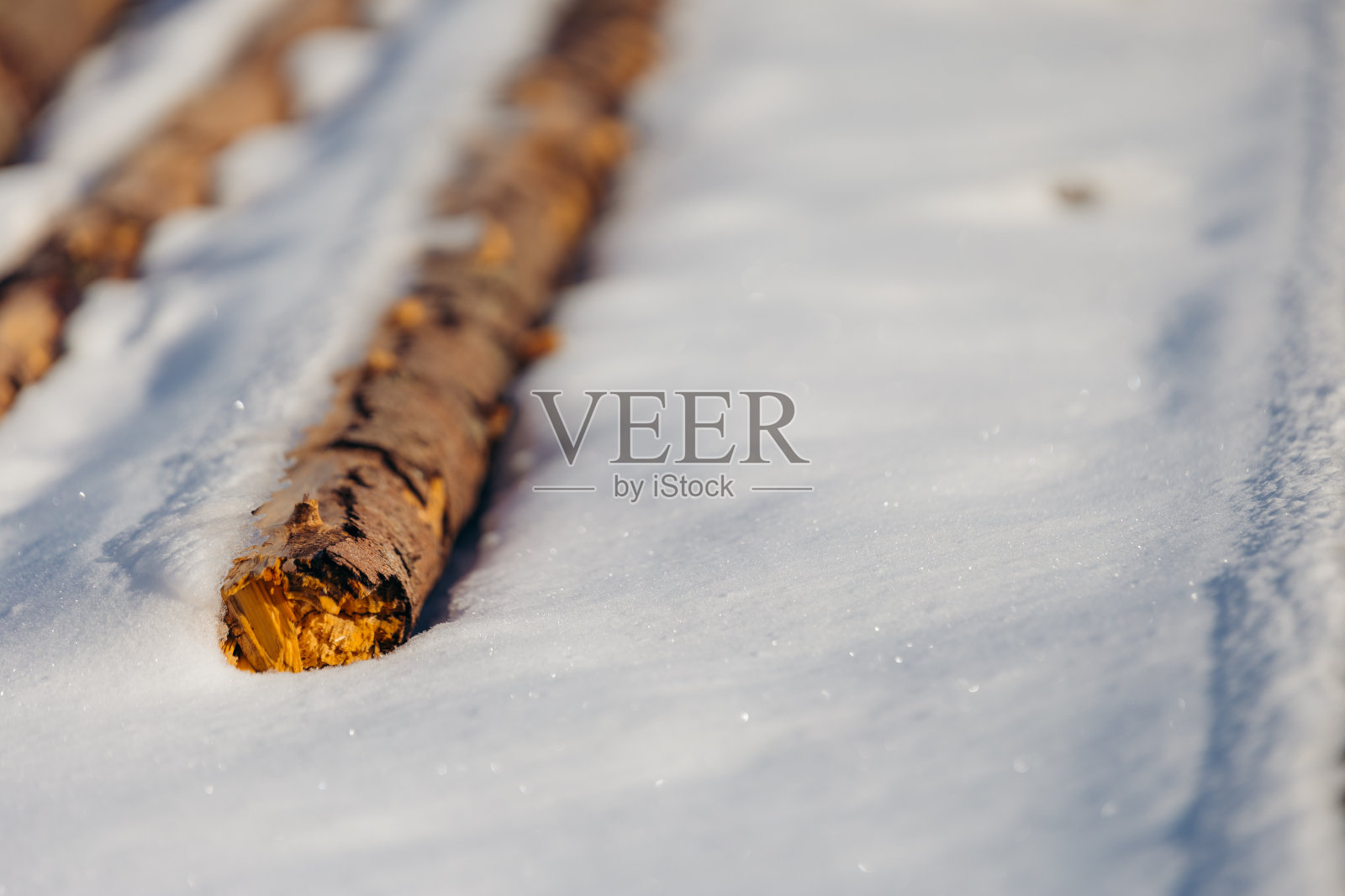 一根部分被雪覆盖的圆木特写照片摄影图片