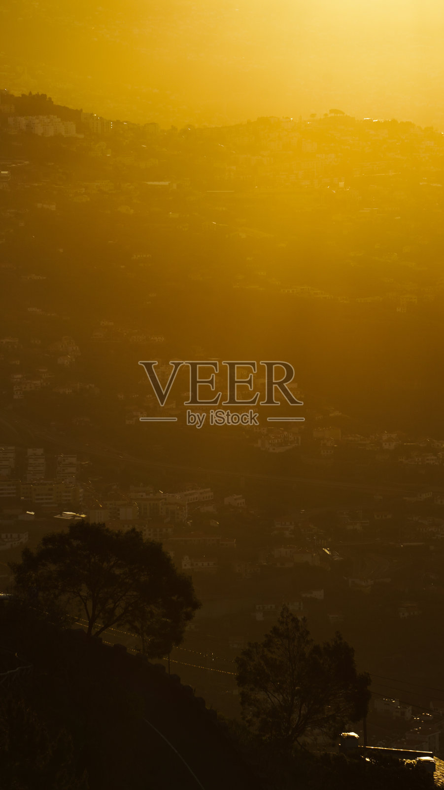 黄色阳光下的丰沙尔。照片摄影图片