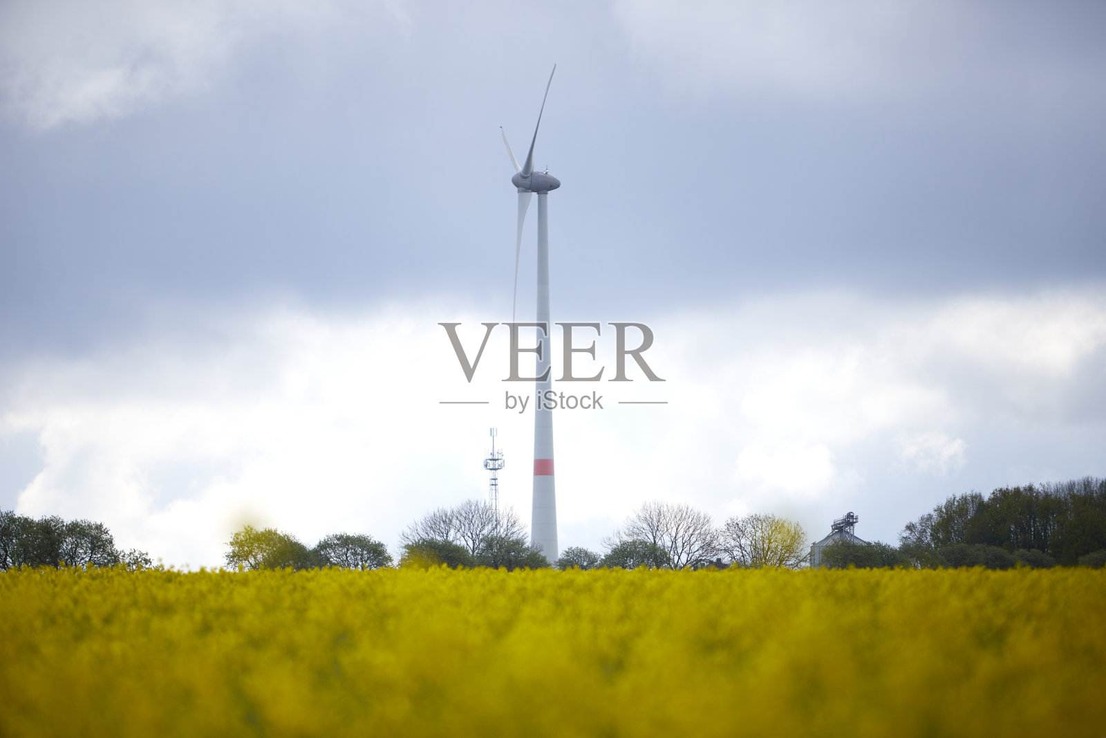 风力发电机,盛开的油菜籽田在前景照片摄影图片