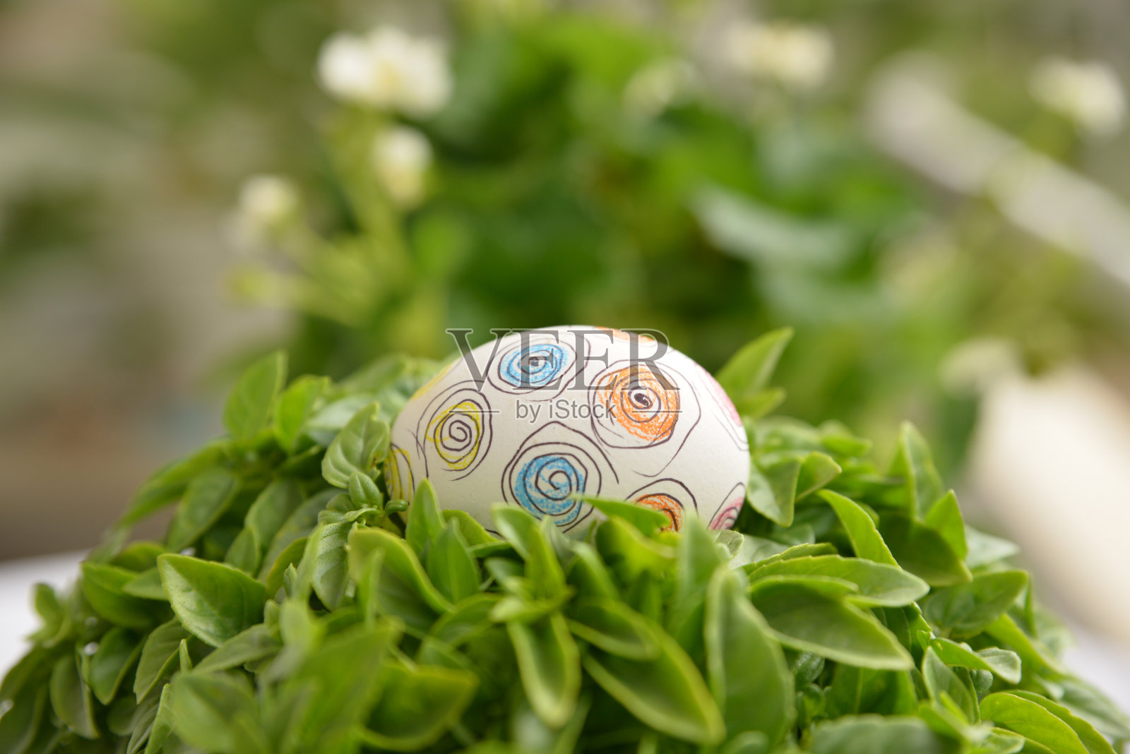 复活节彩蛋手绘成白色照片摄影图片