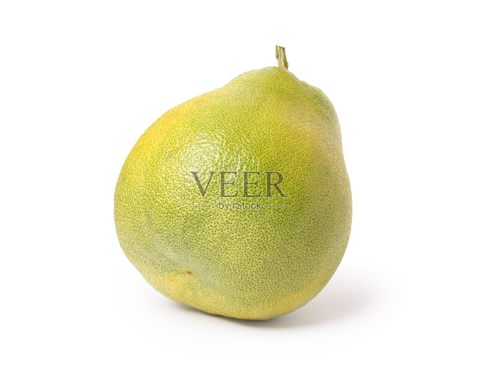 白上柚照片摄影图片