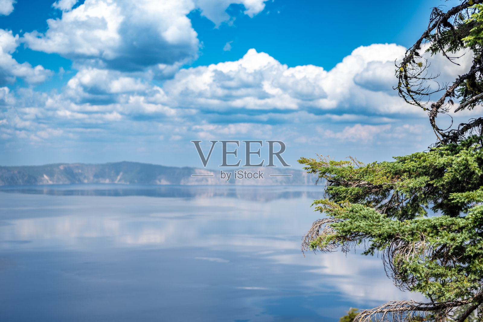 选择性聚焦常青树与火山口湖国家公园在俄勒冈州的远景照片摄影图片