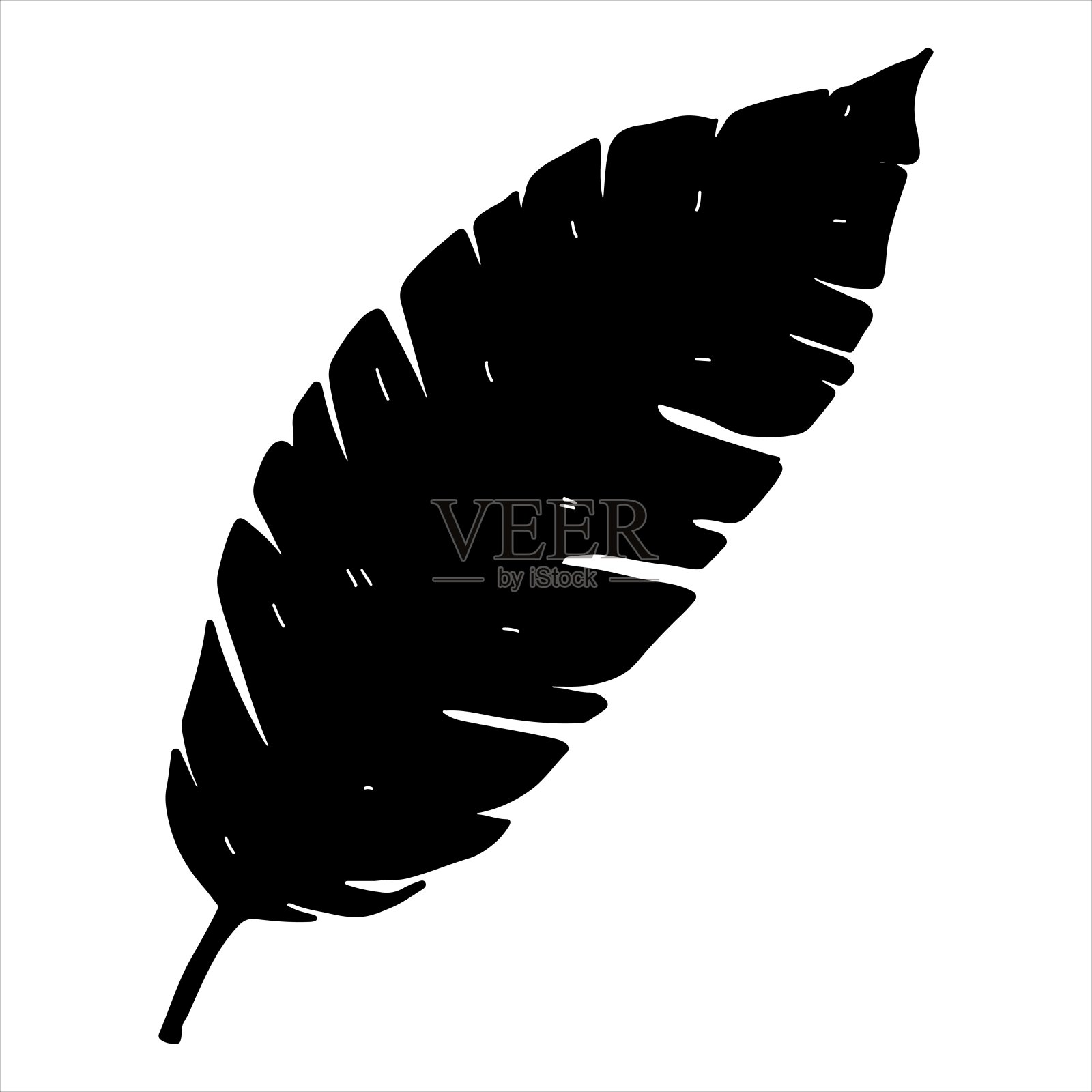 黑色的叶子。手绘涂鸦风格。矢量插图隔离在白色。着色页面。插画图片素材