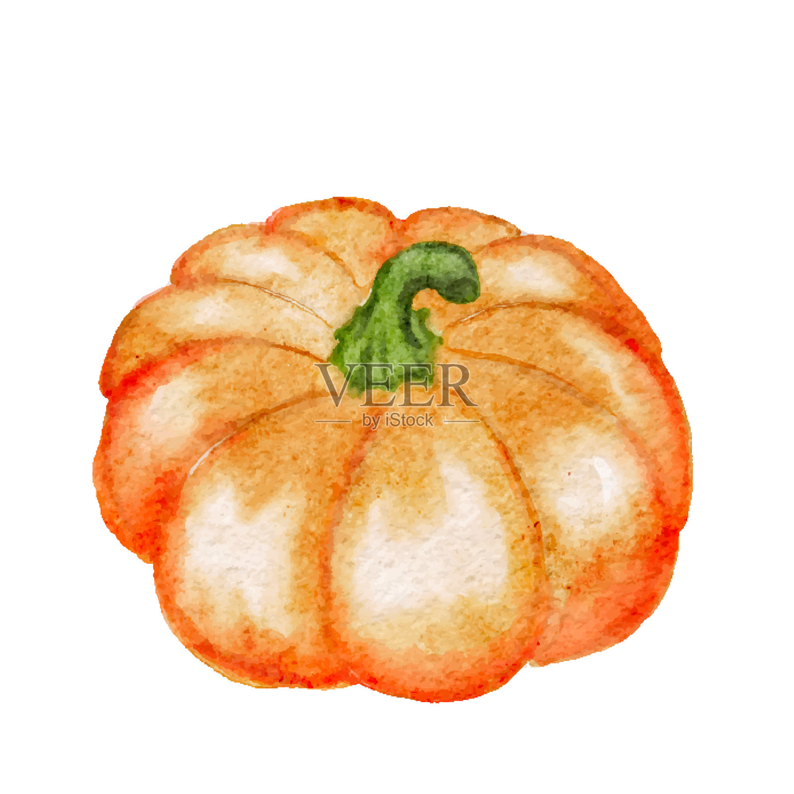 橙色南瓜隔离白色矢量插图，感恩节假期设计插画图片素材