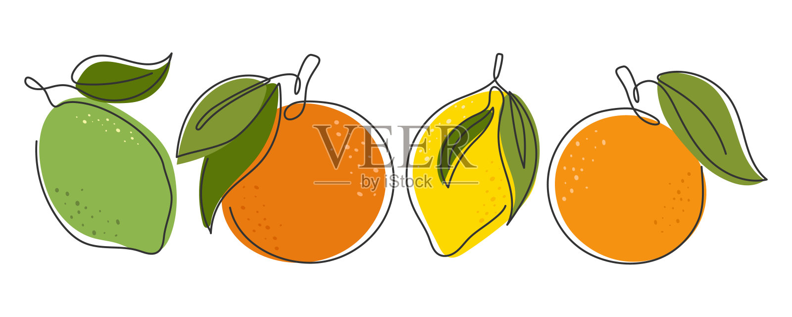 橙，柠檬，酸橙，葡萄柚分离在白色插画图片素材