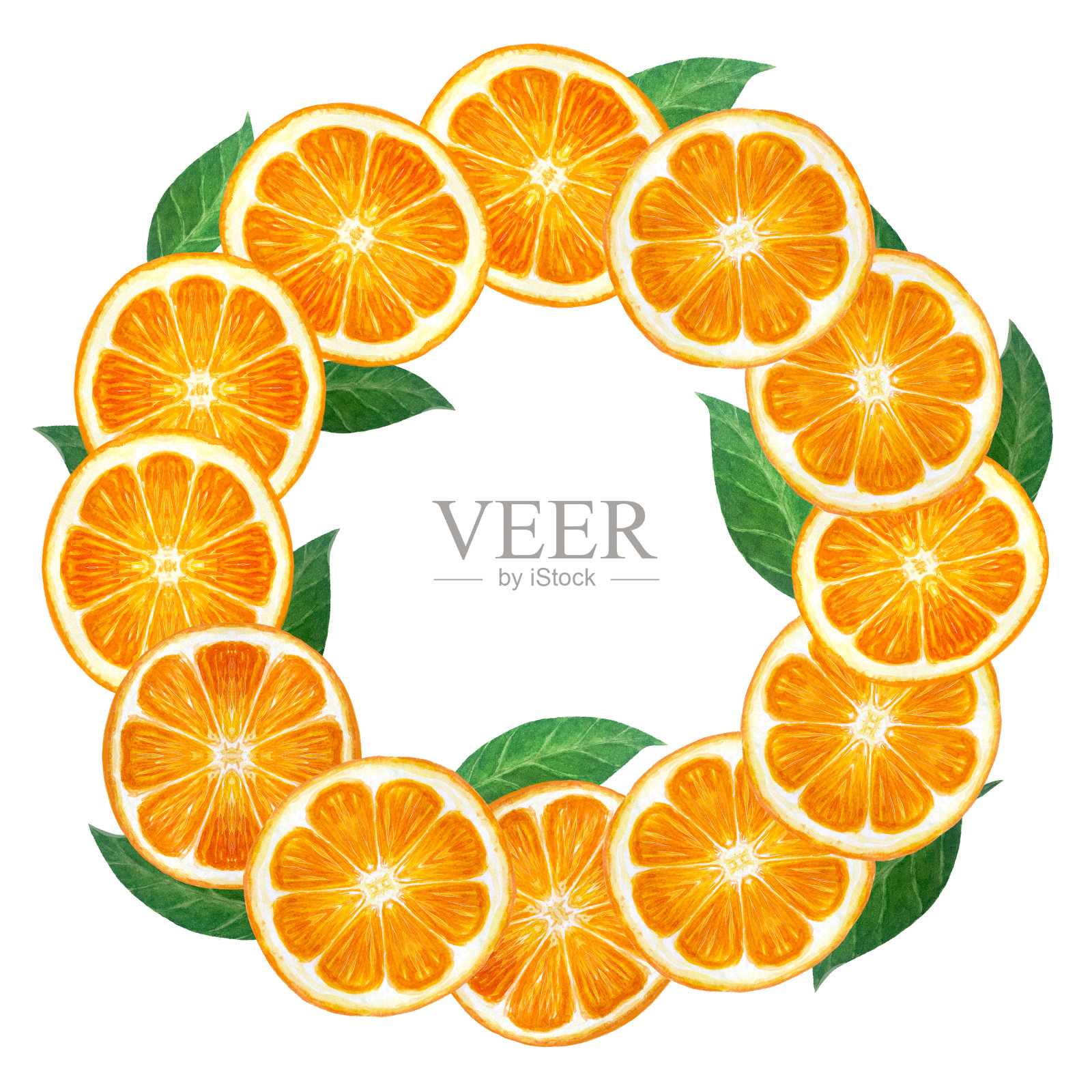 橙色水果，橘子片与绿色的叶子水彩花环孤立在白色的背景。高品质的艺术食品设计，包装，餐厅菜单，天然有机食品标志，圣诞设计插画图片素材