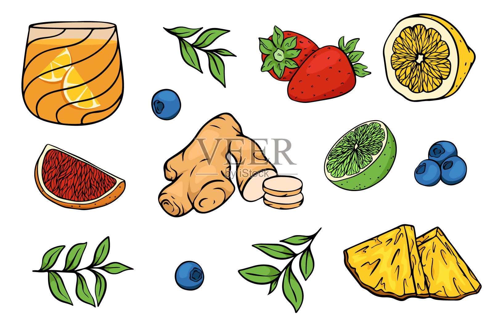 康普茶及其成分插画图片素材