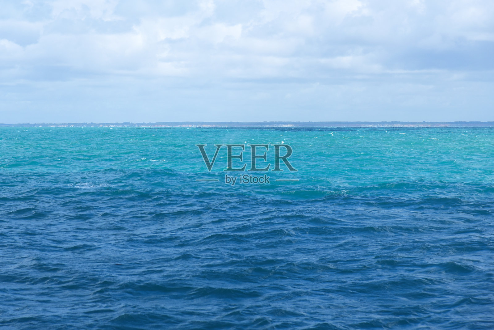 大西洋巴西海岸巴伊亚海滩海夏季鲸鱼海岸照片摄影图片