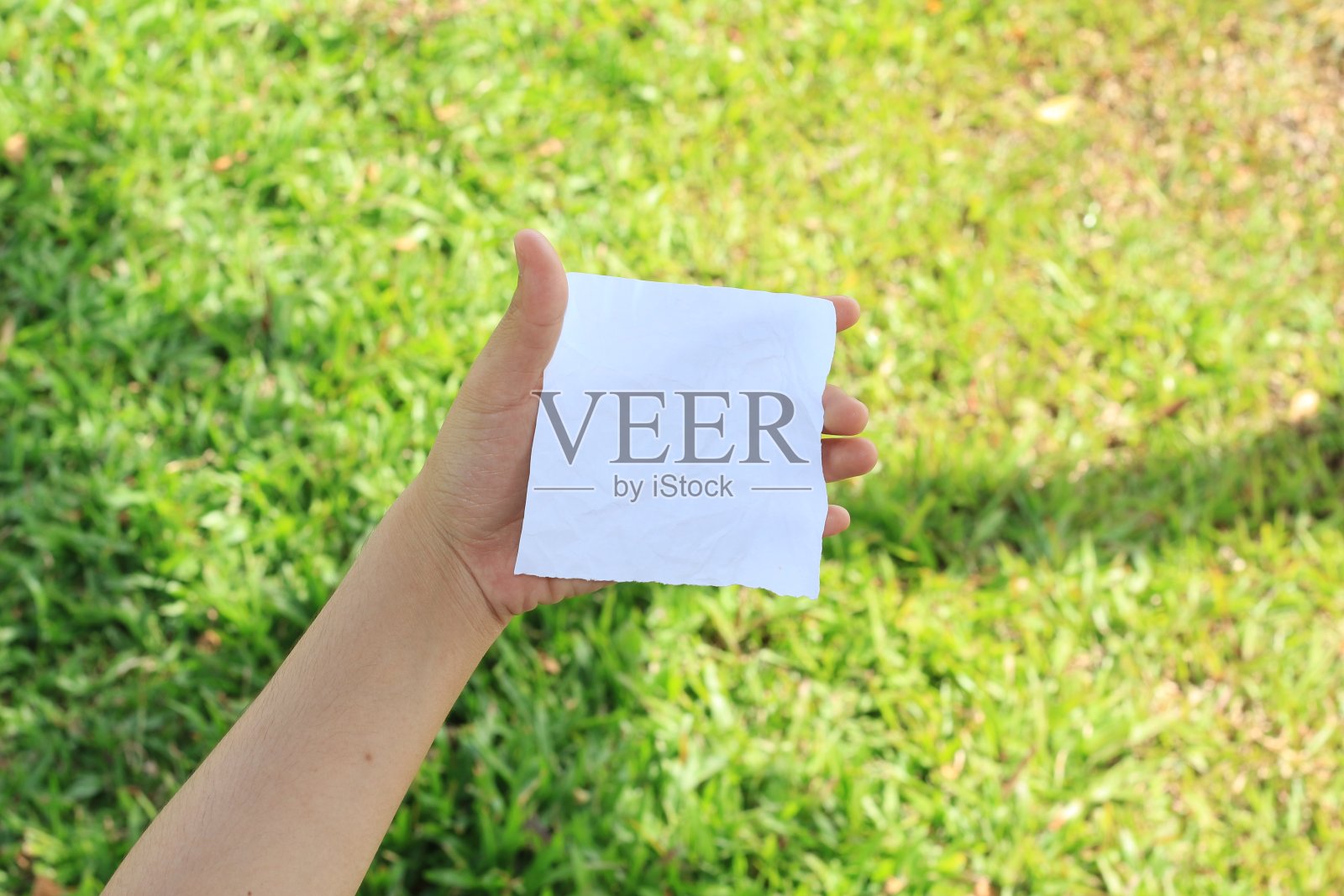 纸在手照片摄影图片