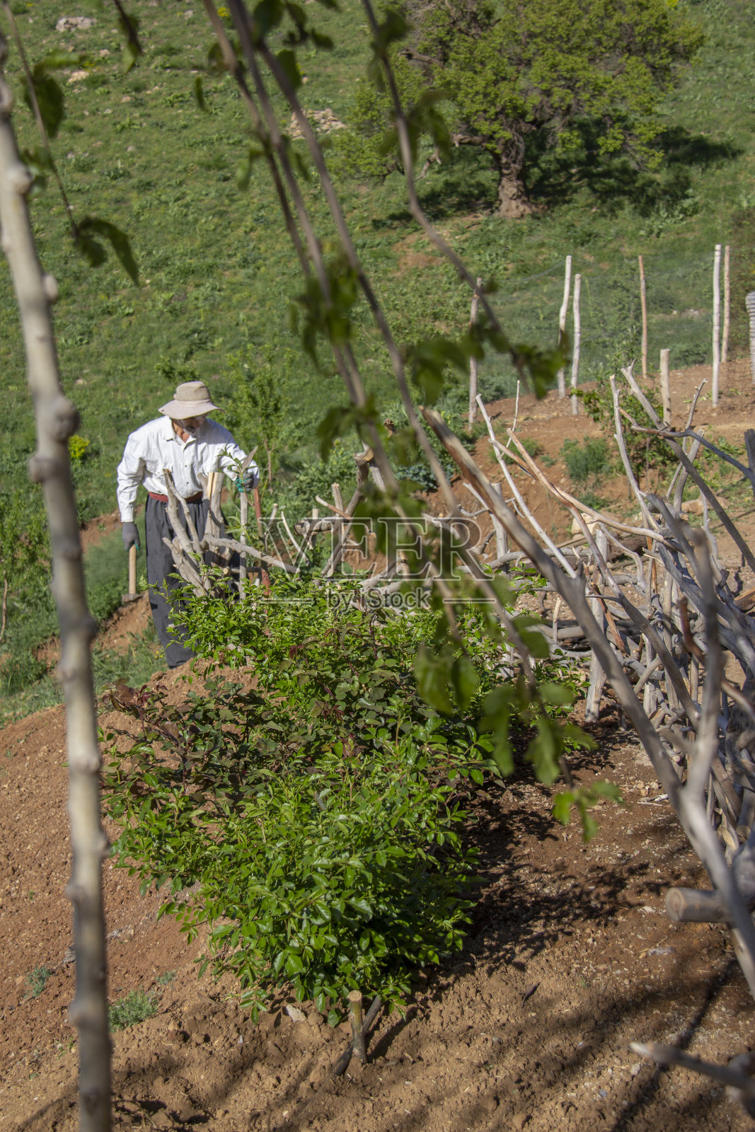 用木头建造农家花园照片摄影图片
