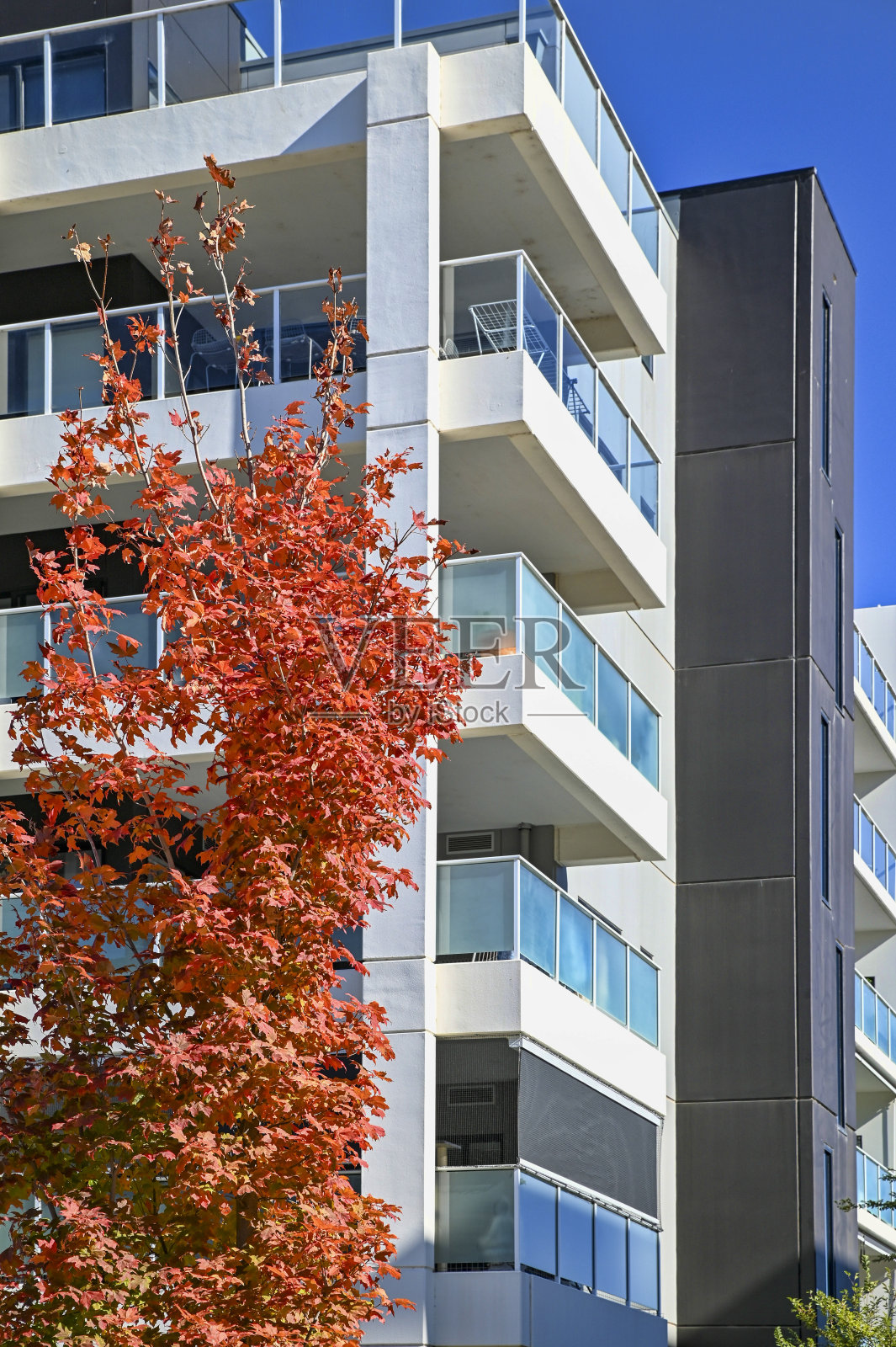 秋天新郊区的住宅楼照片摄影图片