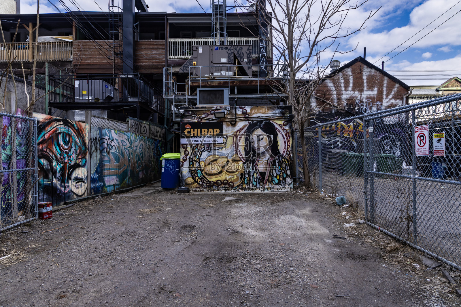 加拿大多伦多的涂鸦巷照片摄影图片