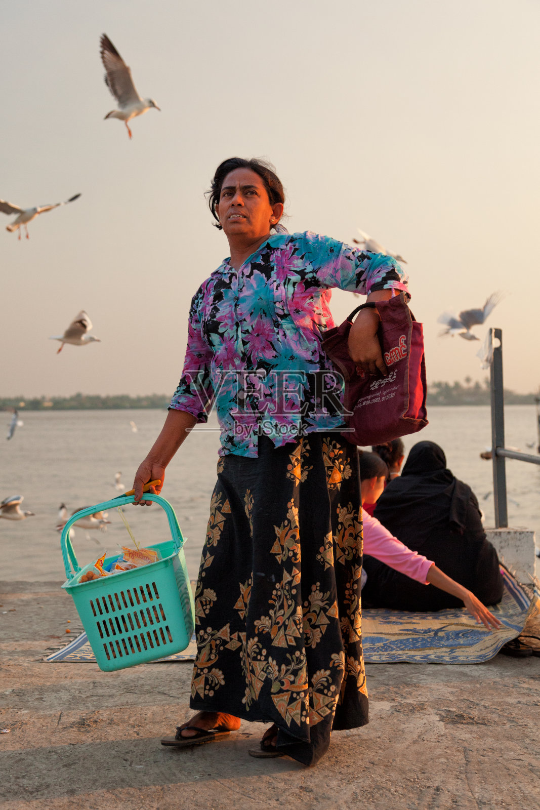 仰光,码头上喂海鸥照片摄影图片