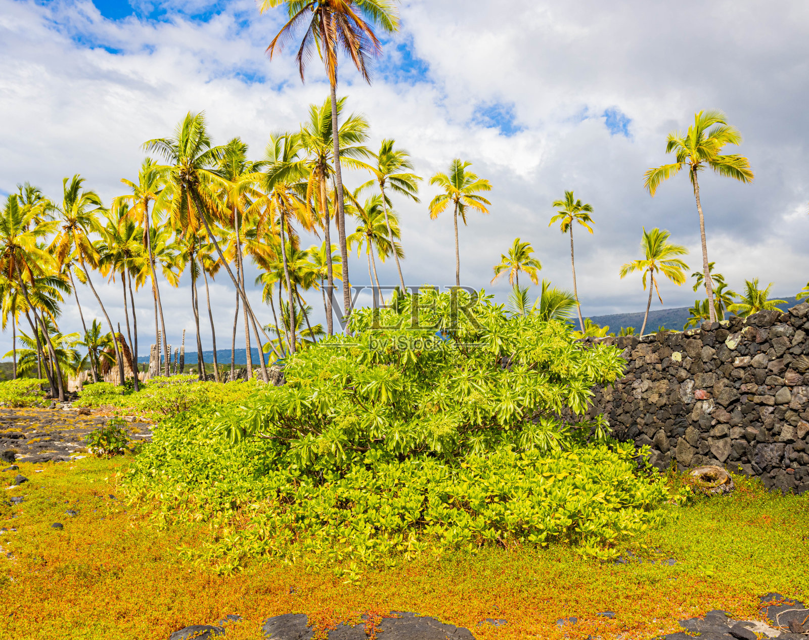 长城环绕着皇家庭院照片摄影图片