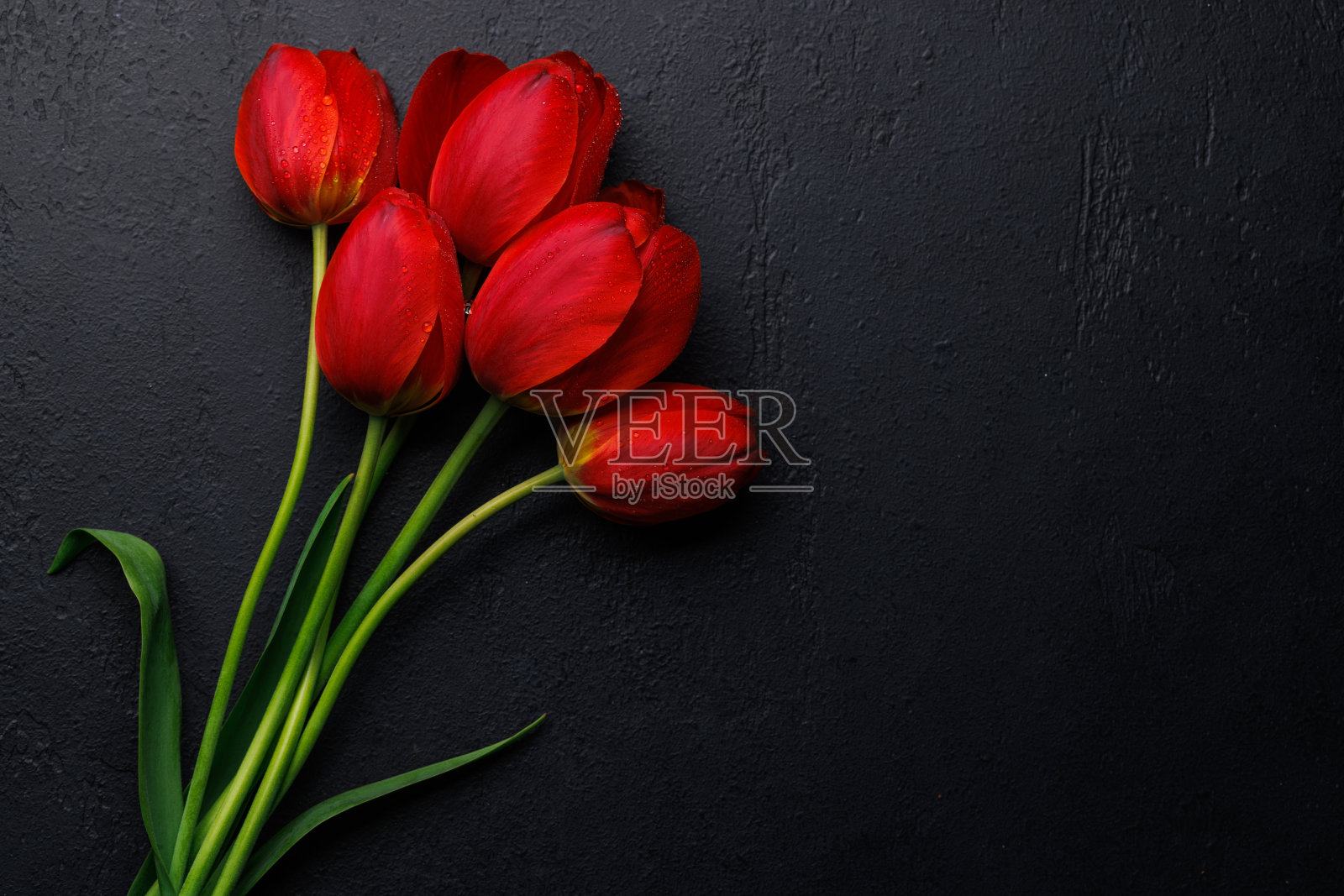 红色的郁金香优雅的桌子，提供一个宁静和充满活力的背景照片摄影图片