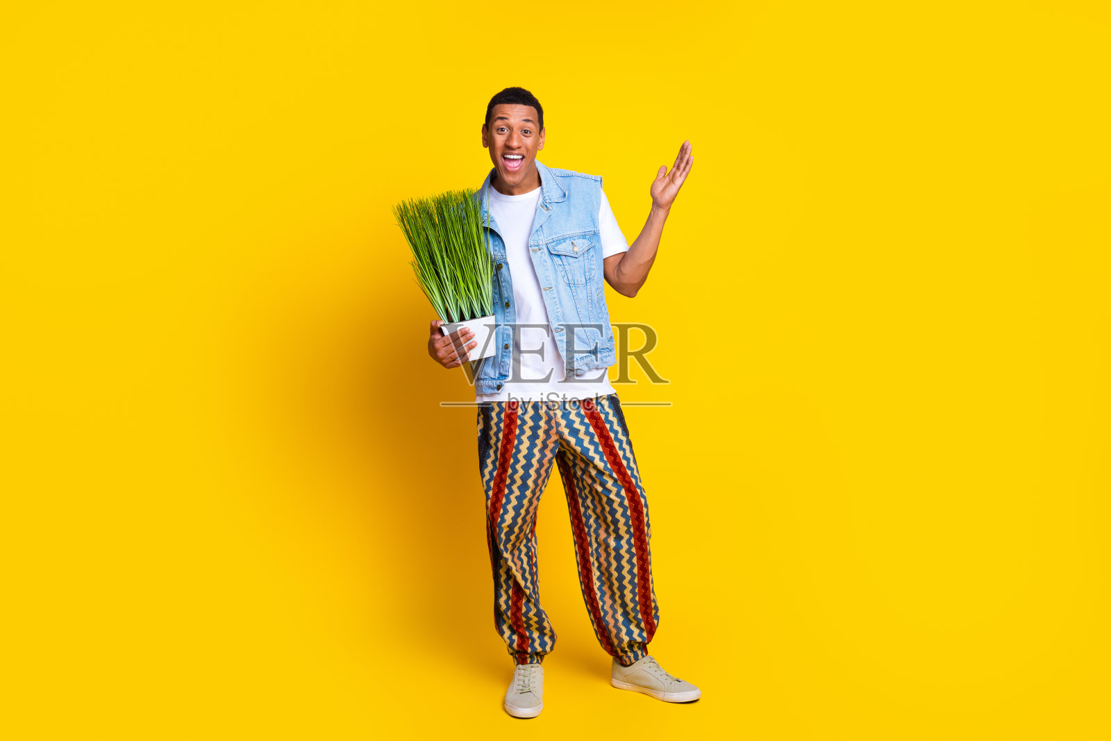 全尺寸照片，印象深刻的男人穿着牛仔背心，t恤，抱着植物手臂，惊讶地盯着孤立的黄色背景照片摄影图片