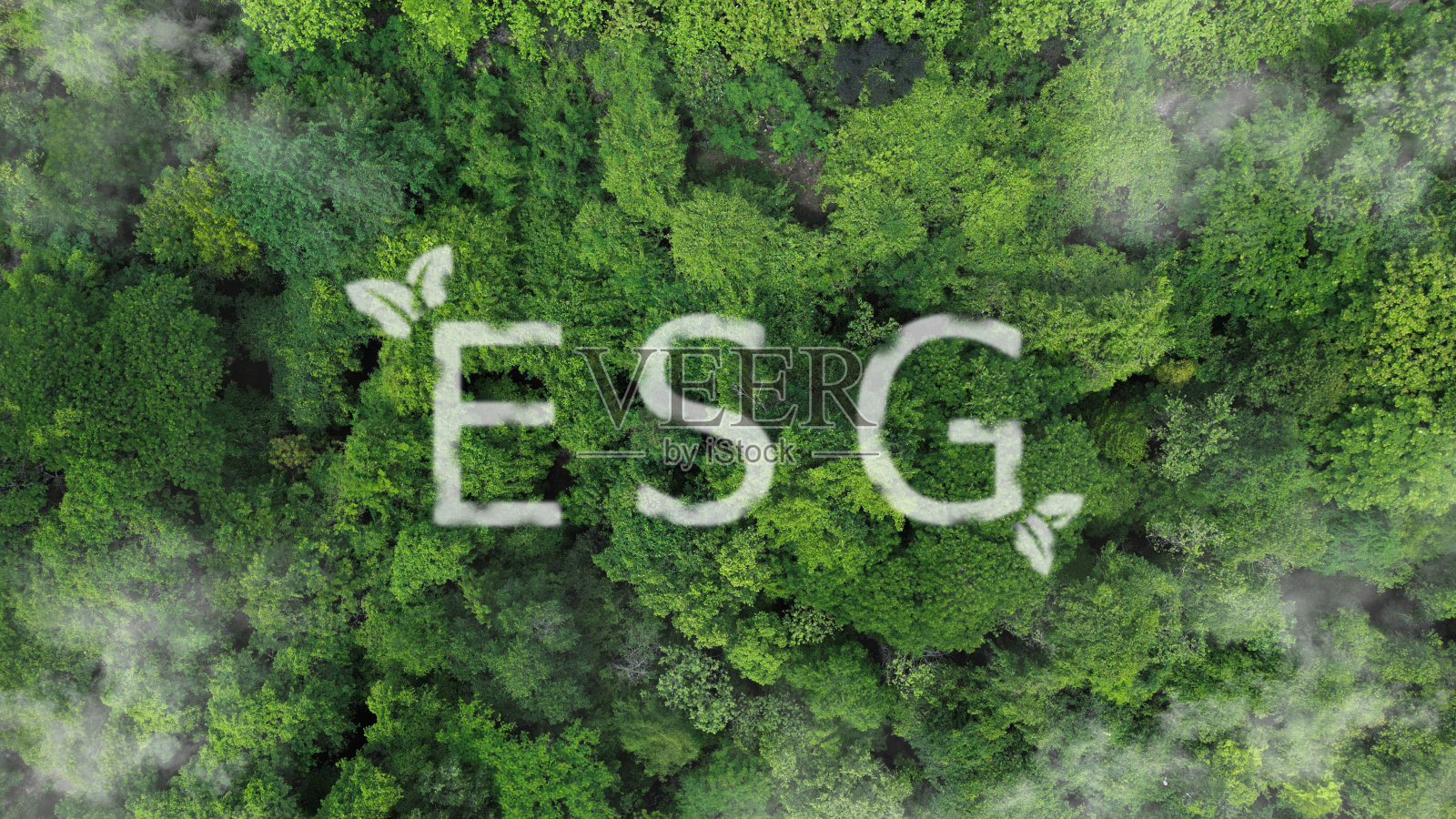 ESG -环境，社会，治理，公司治理可持续性得分和指标绿色投资环境可持续公司照片摄影图片
