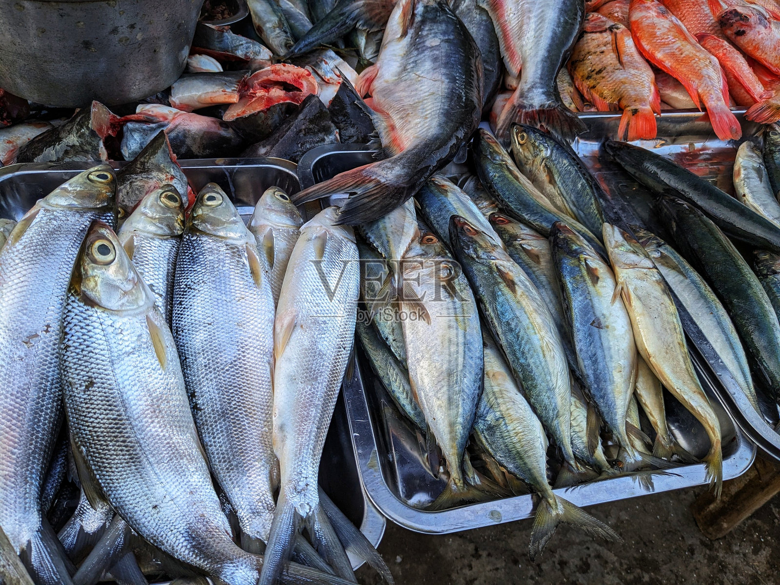 印尼鲜鱼传统市场照片摄影图片