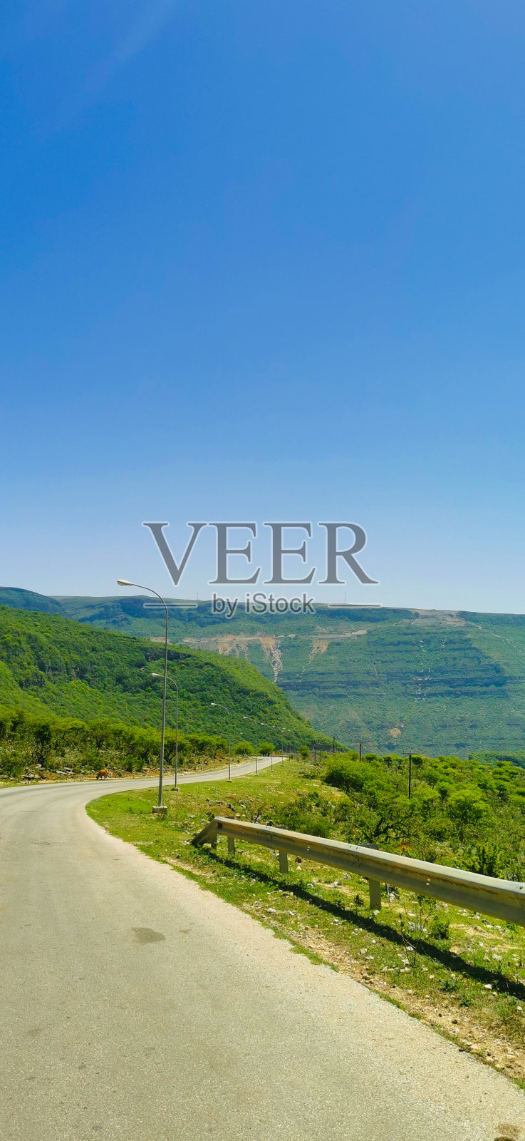 海湾地区萨拉拉秋季风光照片摄影图片