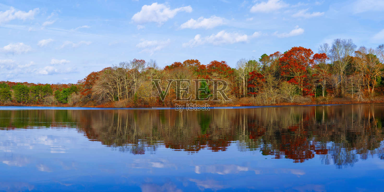 宁静的全景秋天森林和树叶反映在一个湖在日出积云漂浮在蓝天:一个充满活力的美丽在科德角在秋天照片摄影图片