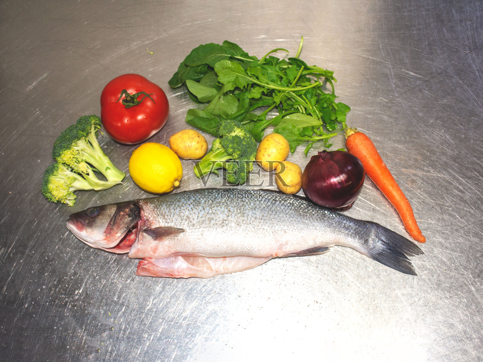 生尖吻鲈照片摄影图片