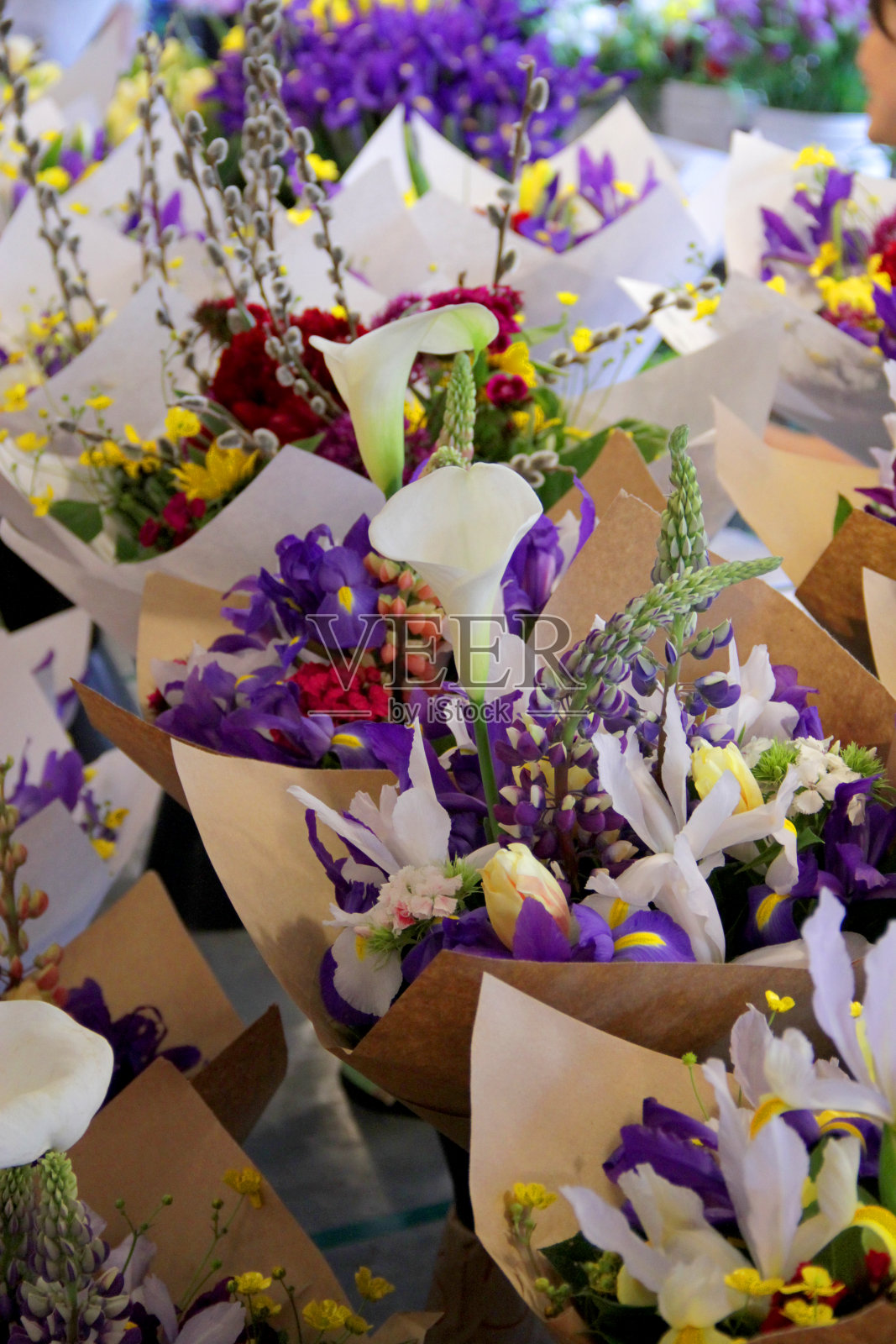 聚集照片摄影图片