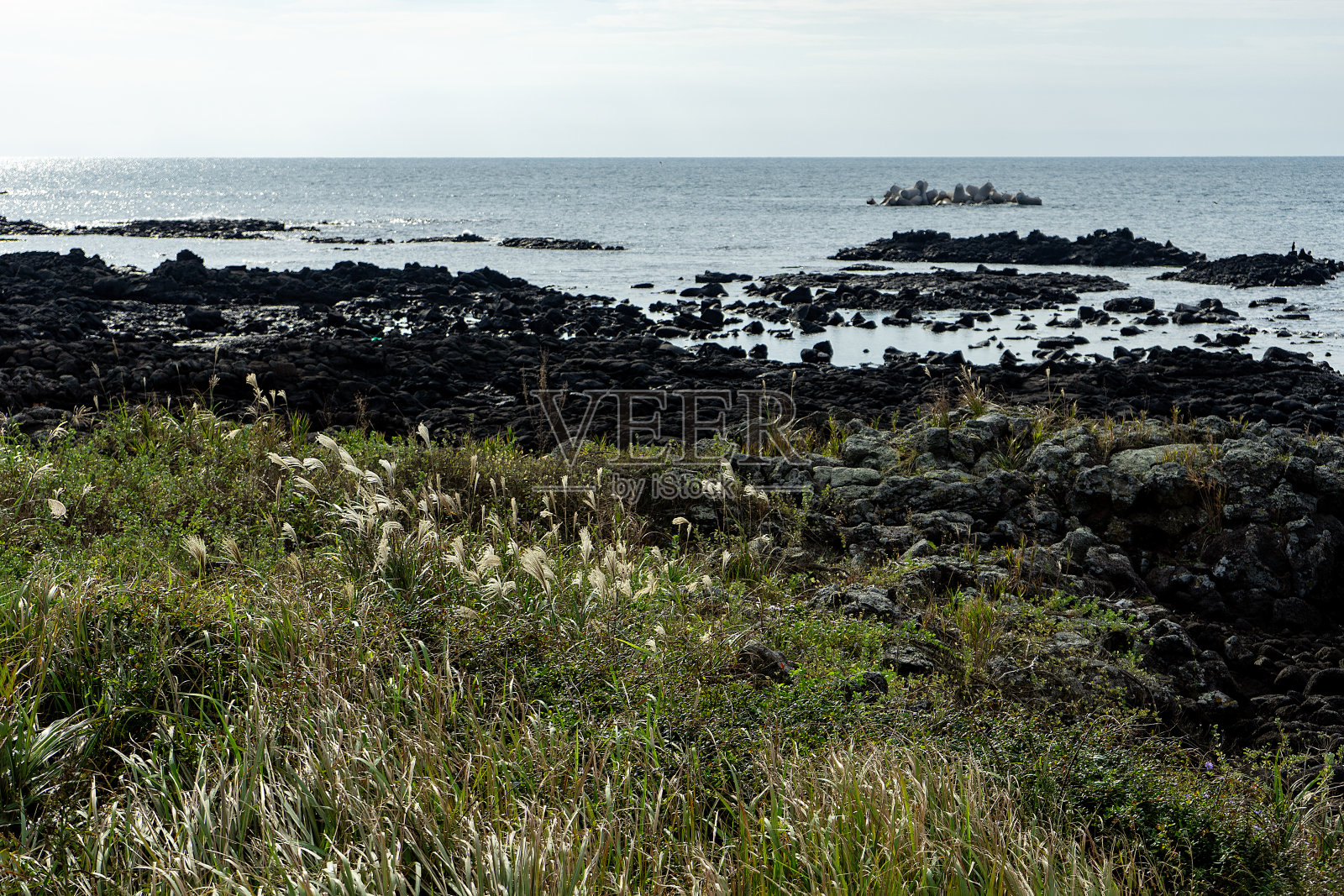 海滩照片摄影图片