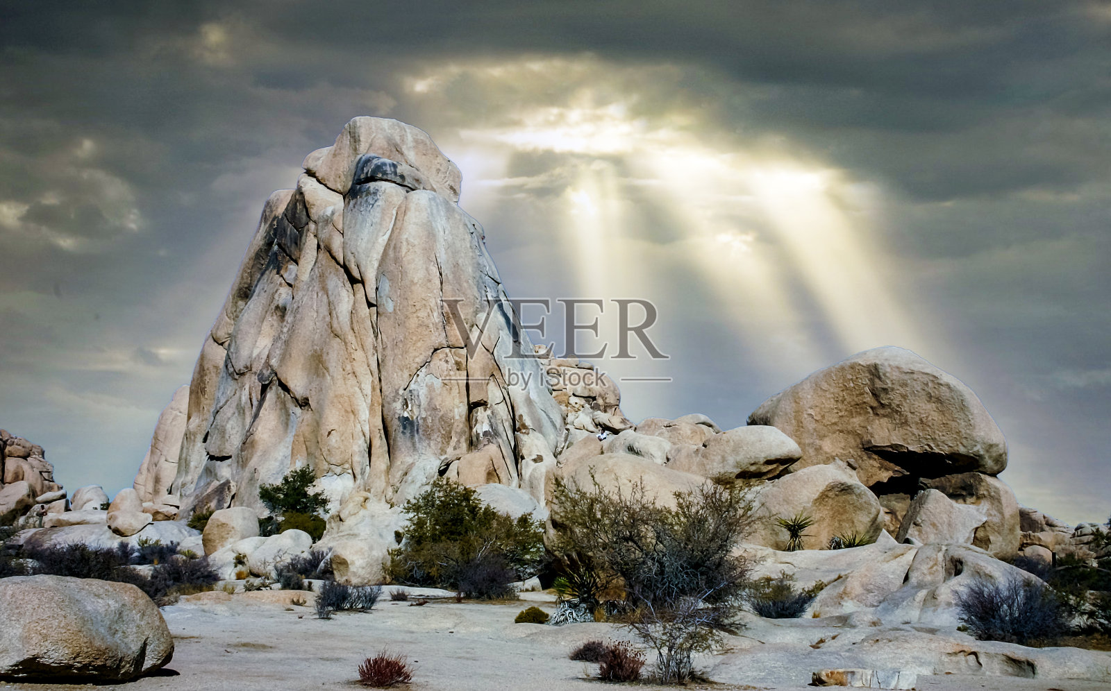 沙漠石头景观约书亚树，大岩石和短叶丝兰莫哈韦沙漠，约书亚树国家公园，加利福尼亚州照片摄影图片