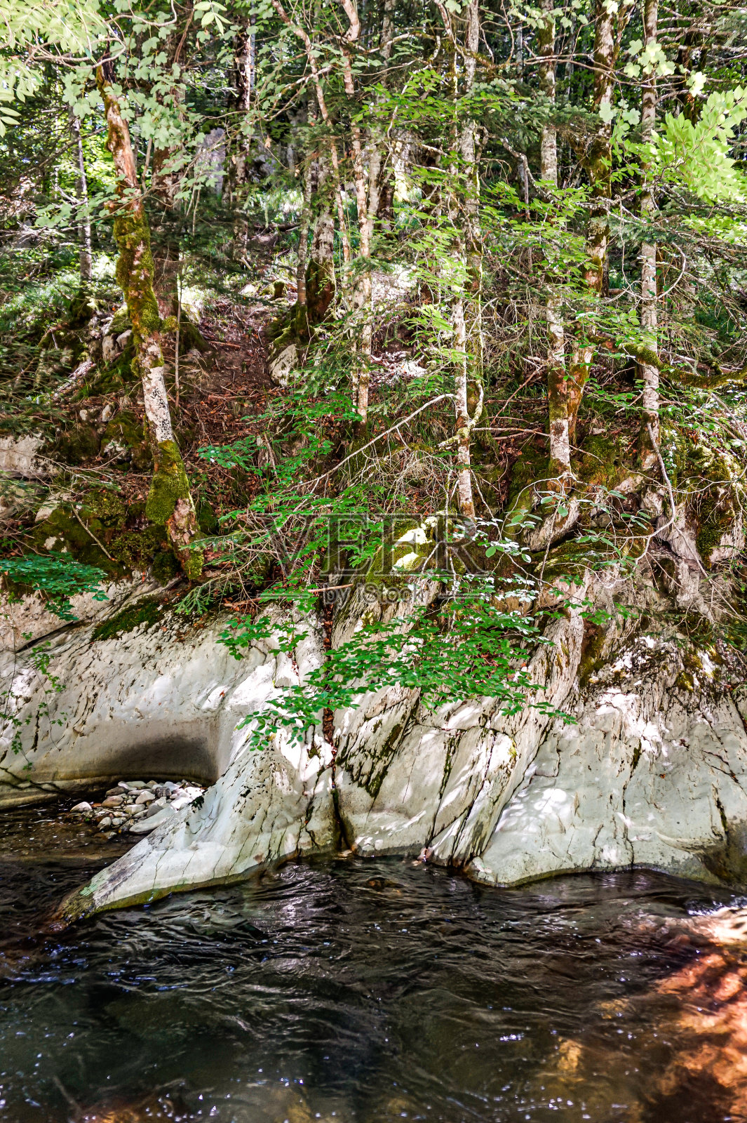 西班牙北部森林中的一条河照片摄影图片