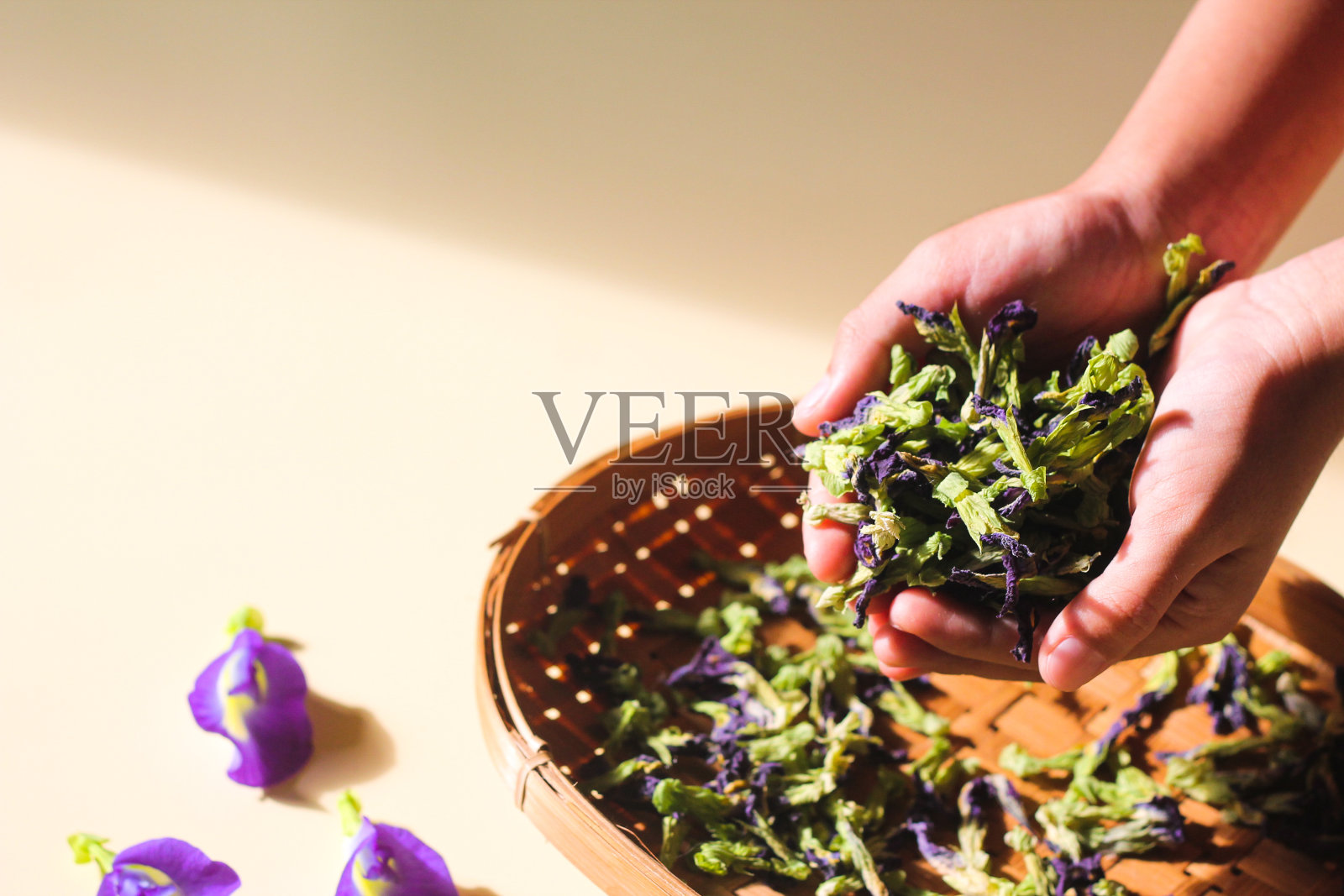 蝴蝶豌豆花照片摄影图片