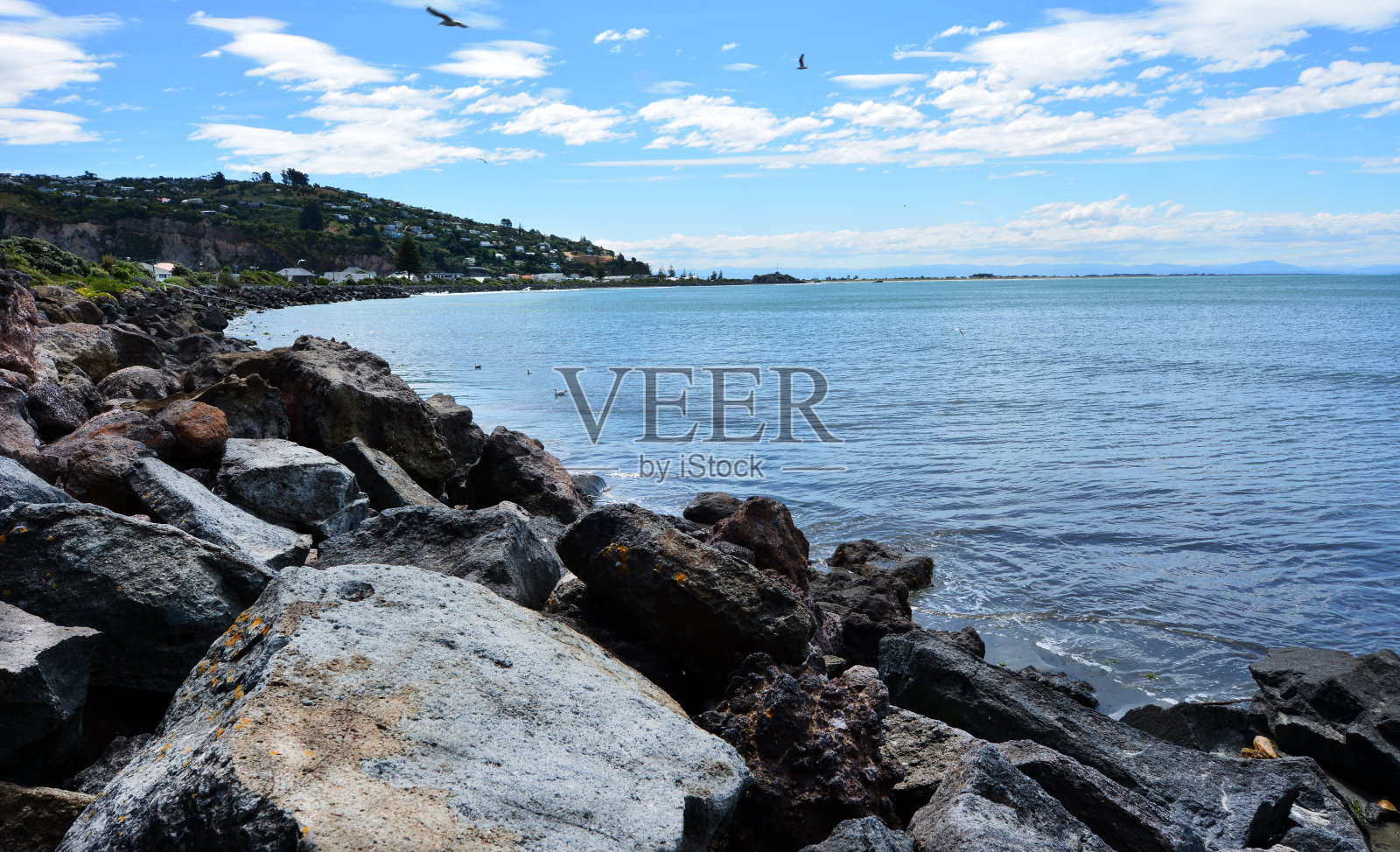 夏季海岸海滨克赖斯特彻奇-新西兰照片摄影图片