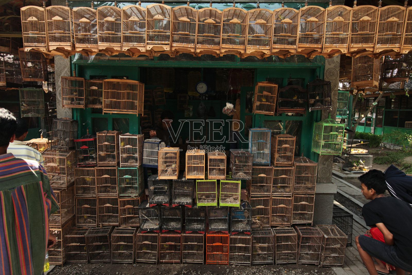 印尼中爪哇日惹的鸟类市场。照片摄影图片