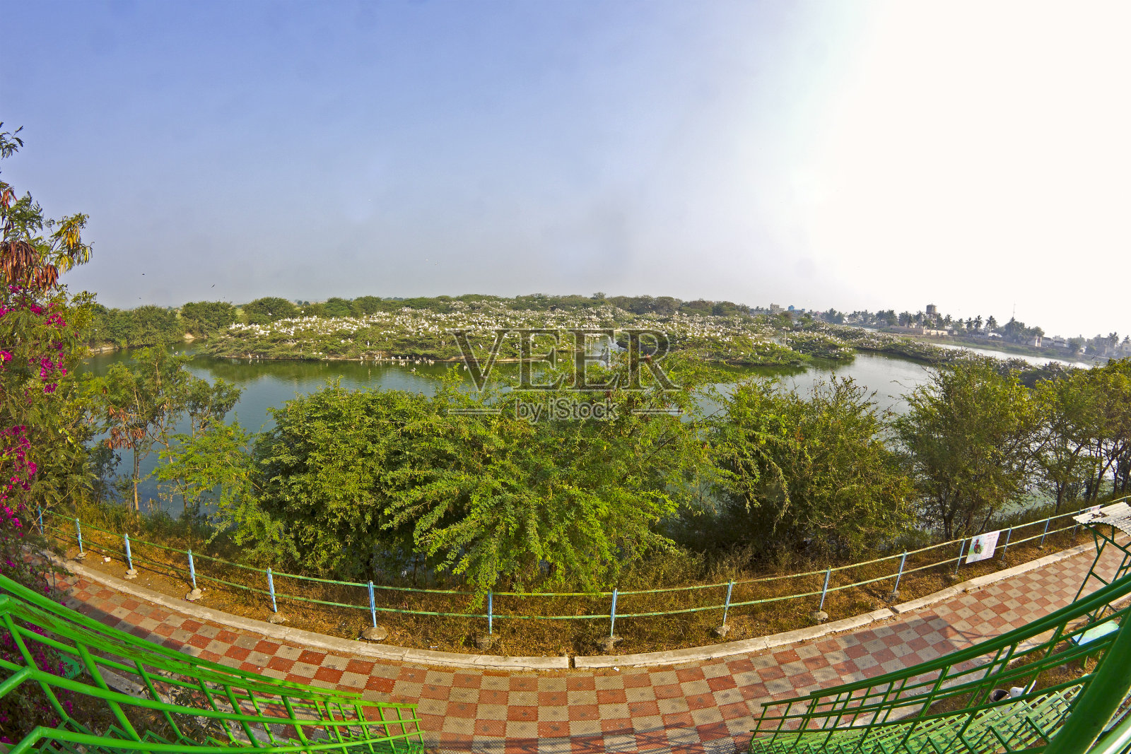 乌帕拉帕杜鸟类保护区照片摄影图片