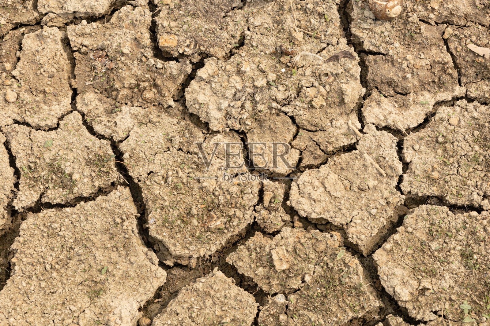 土地恢复、荒漠化和抗旱能力照片摄影图片