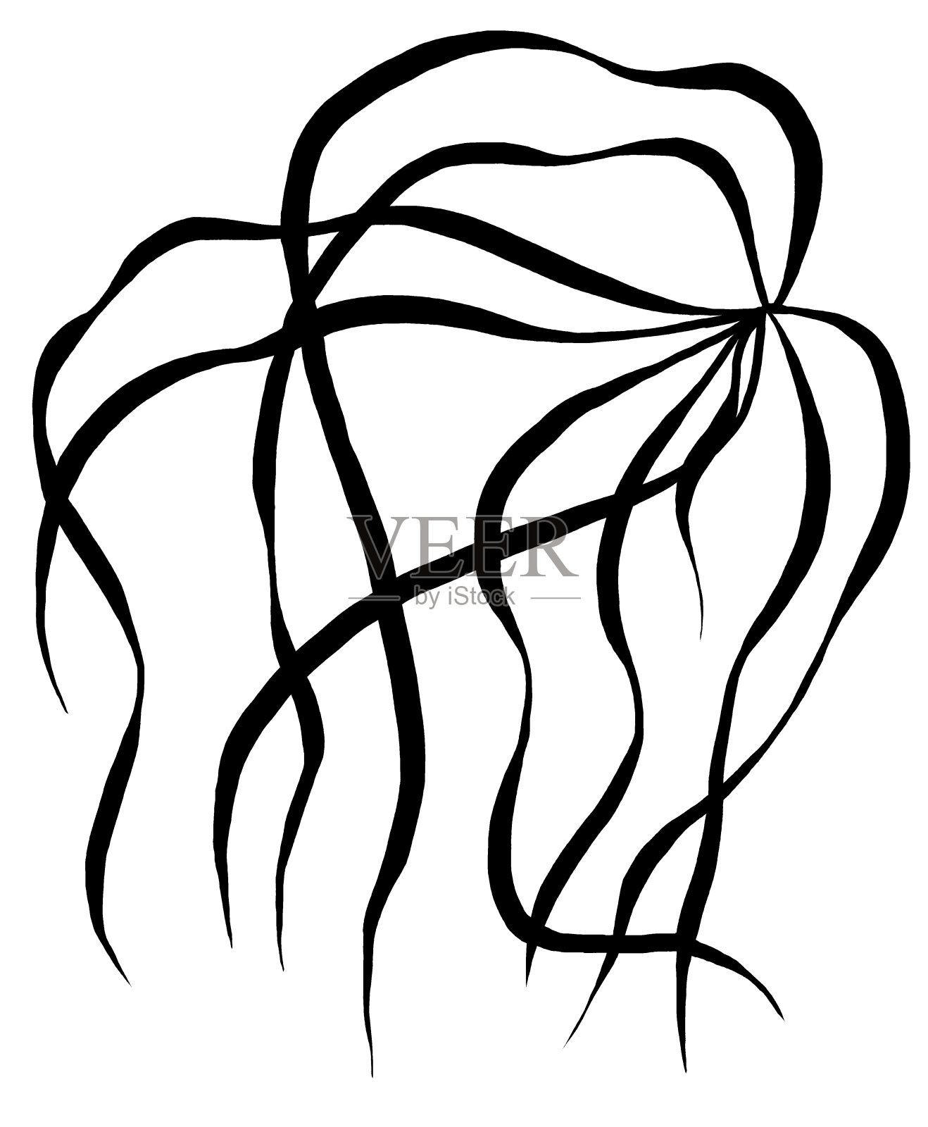 手绘草叶，黑色轮廓，孤立插图，婚礼文具元素插画图片素材