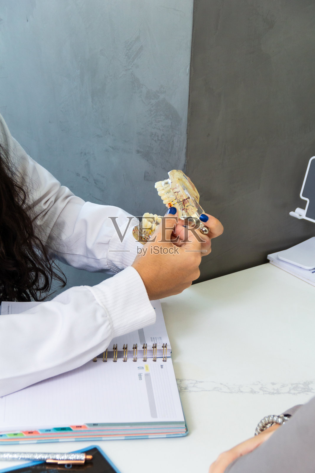 牙科诊所里，牙医拿着一个塑料下巴模型的特写。医学教学理念。照片摄影图片