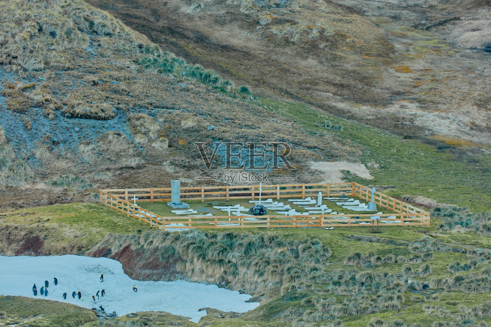 欧内斯特·沙克尔顿的坟墓照片摄影图片