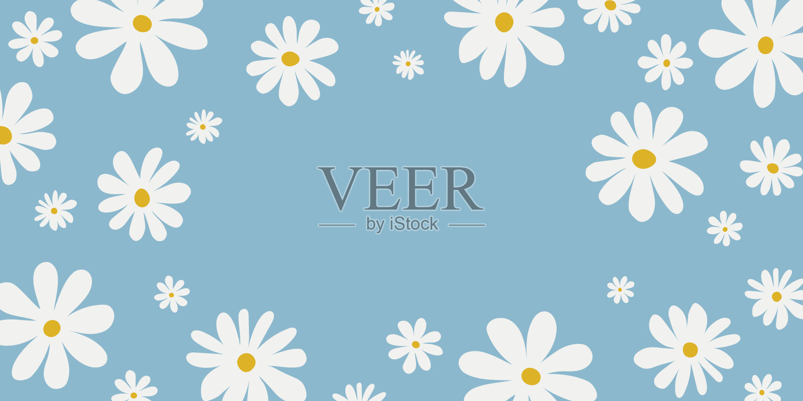 花的背景与白色洋甘菊在浅蓝色的背景。封面设计，矢量花卉插图的社交媒体，印刷，壁纸，包装。插画图片素材